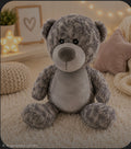 Personalised Cute Teddy Bear